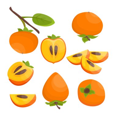 Renkli yarım parlak vektör seti, dilim ve sulu hurmon bütün. Taze karikatür hurmon beyaz arka plan üzerinde izole. Vektör.