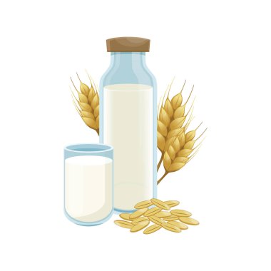 Cam şişede sütlü buğday. Sağlıklı yaşam tarzı. Vektör buğday kulakları tahılile sivri. Şişede buğday vegan sütü. Vektör.  