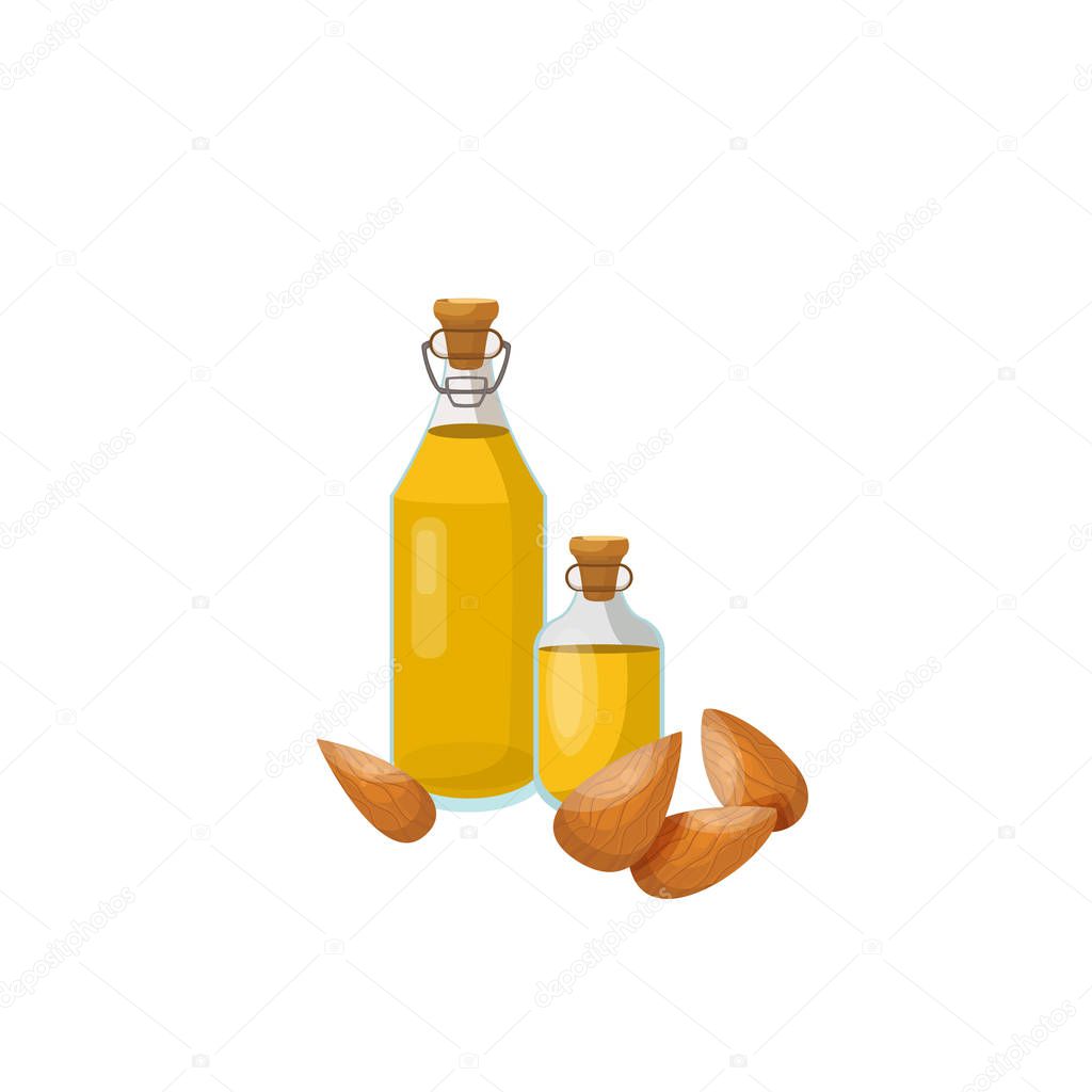 Almond oil in a glass bottle with almond nuts. Vector.
