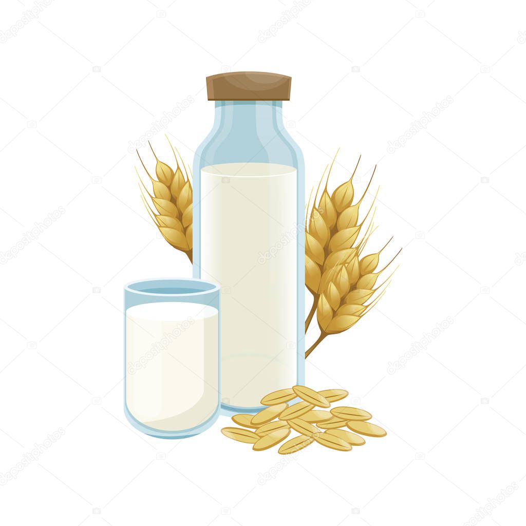 Milk wheat in a glass bottle. Healthy lifestyle. Vector wheat ears spikelets with grains. Wheat vegan milk in a bottle. Vector.  