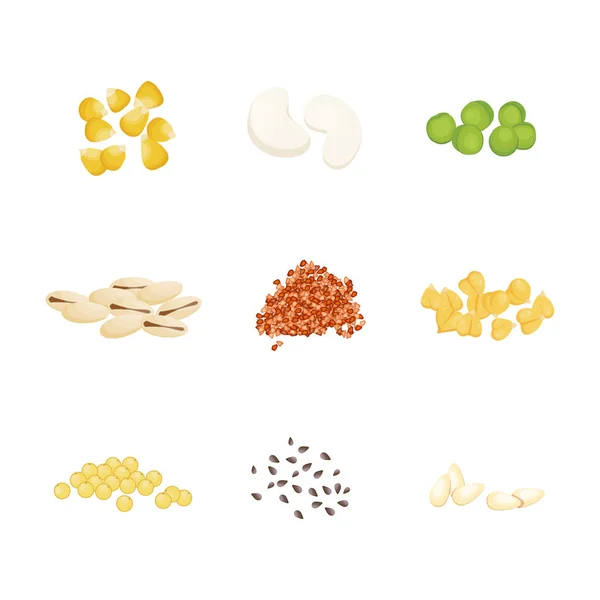 Set groats. Grain on white background. Vector illustration. — Stock Vector