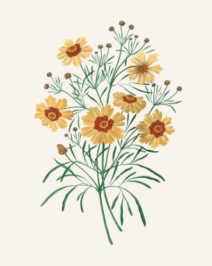 Botanik çiçeği çizimi. Yumuşak desenli bej kağıt arkaplanda suluboya resim.