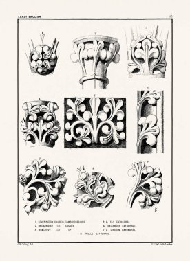 Ortaçağ İngiliz süslemeleri ve dekoratif taş oyma mimari ayrıntıları. Antika baskı, 19. yüzyıl..