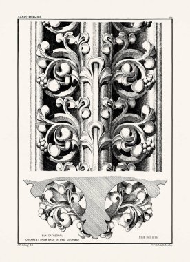 Ortaçağ İngiliz süslemeleri ve dekoratif taş oyma mimari ayrıntıları. Antika baskı, 19. yüzyıl..