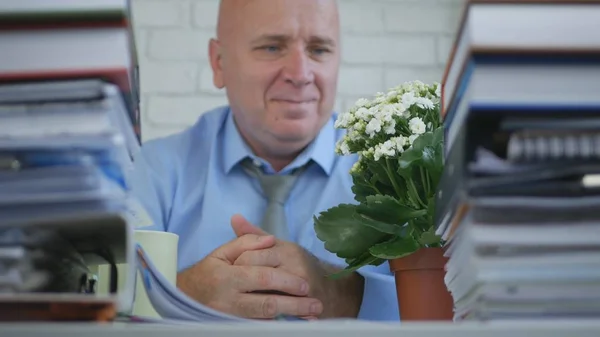 Relax rd Businessperson Looking To a Flower in Office Room