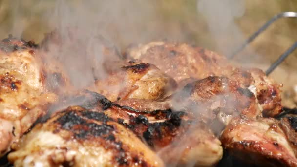 Juicy Chicken Meat Grilled Charcoal Grill — Stock Video
