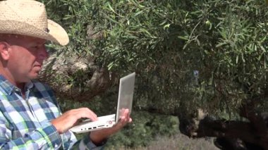 Zeytin plantasyon içinde yürüyüş çiftçi Online bir dizüstü bilgisayar kullanarak iş veri gönderen