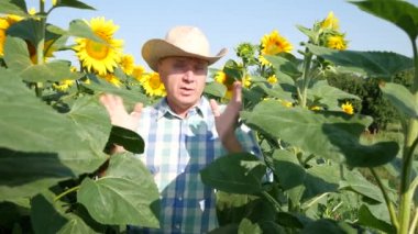 Ciddi çiftçi bir Tv Reportage tarım arazisi hakkında konuşan ayçiçeği ekimi