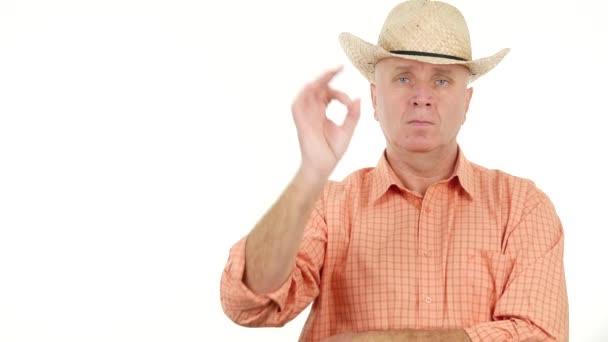 Serious Farmer Approve Agree Making Confiding Sign Hand Gestures — Stock Video