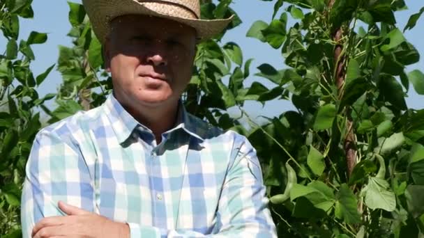 Trabajador Agrícola Una Plantación Frijoles Permanece Orgulloso Mirando Sonriendo Cámara — Vídeos de Stock