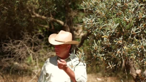 Campesino Nervioso Haciendo Gesto Jura Irritada Alejándose Una Plantación Olivos — Vídeo de stock