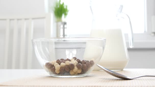 Extremo primer plano Imagen con un tazón con sabrosos cereales mezclados con leche fresca — Vídeos de Stock