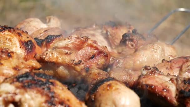 Šťavnaté a chutné Barbecue s kuřecím masem, restovanými na venkovní gril — Stock video