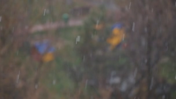 Wazig Park Winterbeeld schot via een venster sneeuwvlokken vallen langzaam — Stockvideo