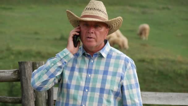 Cowboy parler à un téléphone cellulaire dans une ferme avec un troupeau de moutons pâturage en arrière-plan (Ultra haute définition, UltraHD, Ultra HD, UHD, 4K, 3840x2160 ) — Video