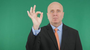 Tamam parmak işareti iyi iş el hareketleri ile işadamı görüntü