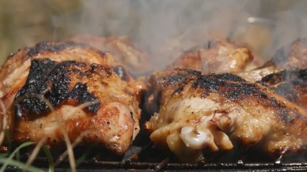 Carne de frango grelhada preparada para o jantar — Vídeo de Stock