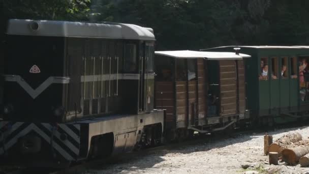 Vacation Trip Old Romantic Train Tourists Enjoy Holiday — Stock Video