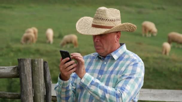 Cowboy Using Cellphone Email Box Farm Herd Sheep Background — Stock Video