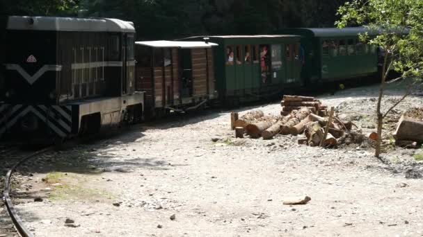 Tren Viejo Con Motor Diesel Viaje Vacaciones Ferrocarril Montaña — Vídeo de stock