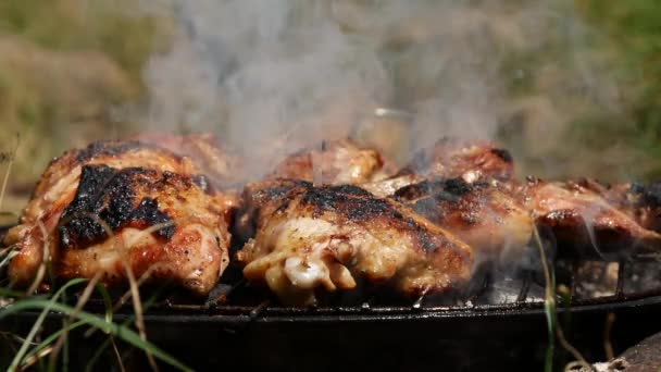 Leckeres Hühnerfleisch Gebraten Grillgut Auf Dem Grill Beim Picknick Zubereitet — Stockvideo