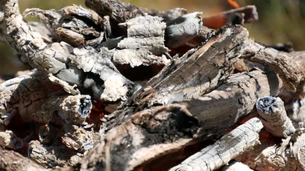 Fire Burning Fired Sparks Ashes Charcoal Grill Prepared Barbecue — Stock Video