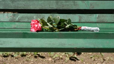 Parkta bir bankta bir aşk ilişkisi aradan sonra terk edilmiş kırmızı gül demet