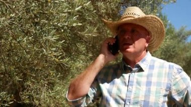 Zeytin Plantation bir çiftçi Mobile kullanan bir istemci ile ciddi bir iş konuşmak