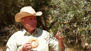 Yürüyüş ve zeytin ağacı ekimi teftiş aç çiftçi lezzetli bir lokma yemek