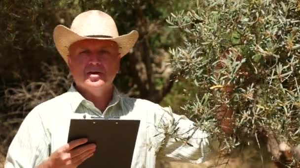 自信的农夫在电视采访谈论橄榄树农场生意 — 图库视频影像