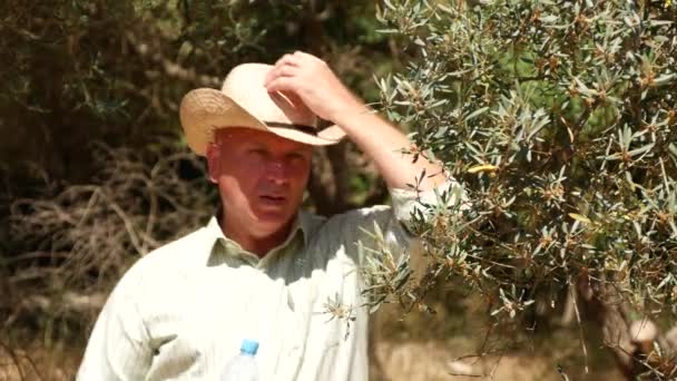 Bauer Geht Durch Olivenhaine Und Trinkt Kaltes Wasser Auf Seinen — Stockvideo