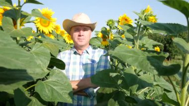 Çiftlik işçi yapmak Merhaba selam el jest güneş çiçek ekimi