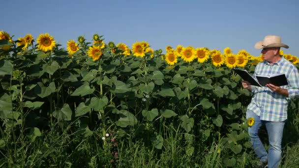 Landwirt Schreibt Mit Agenda Und Klemmbrett Über Sonnenblumenpflanzen — Stockvideo