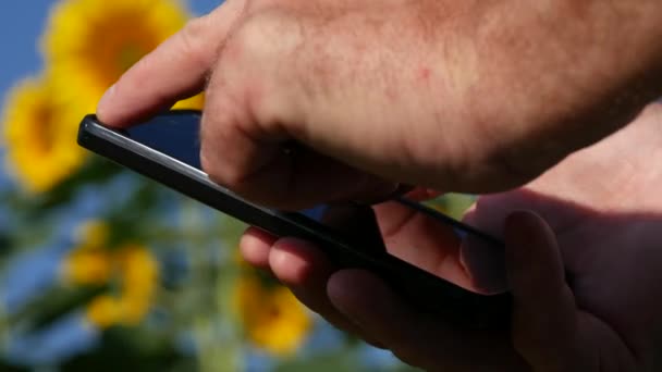 使用手机从向日葵农场发送信息的人手关闭视图 — 图库视频影像
