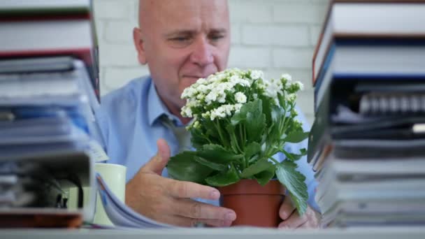 Ondernemer In kantoorruimte bewonderen en Touch ontspannen een mooie bloem — Stockvideo