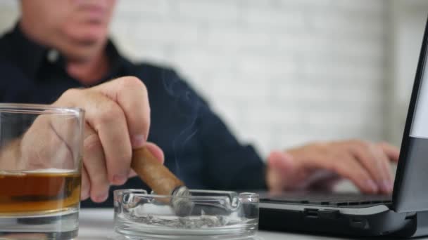 Bir puro sigara işadamının görüntü dizüstü bilgisayarda finansal işlem yapmak — Stok video