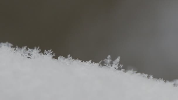 Close Up Image With Small White and Frozen Snowflakes — Stock Video