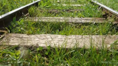 Bir tatil dağ gezisi bir demiryolu üzerinde yürüyen adam