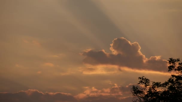 Гарне літо хмарного неба в Sunset вечірній світло з красивою теплих тонах — стокове відео