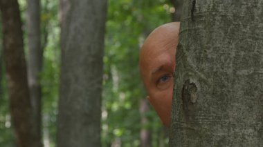 Terrified Man Is Hiding After a Tree in the Forest clipart