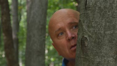 Dehşete adam sonra ormandaki bir ağaç saklanıyor