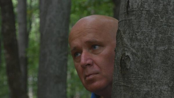Испуганный человек прячется за деревом в лесу
