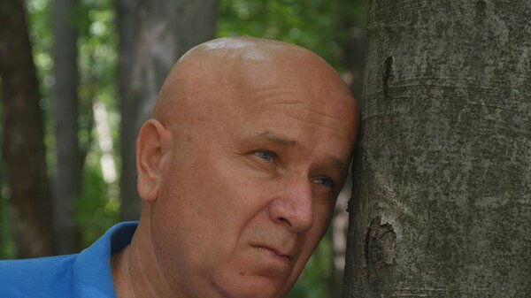 Образ отчаявшегося человека в горном лесу
