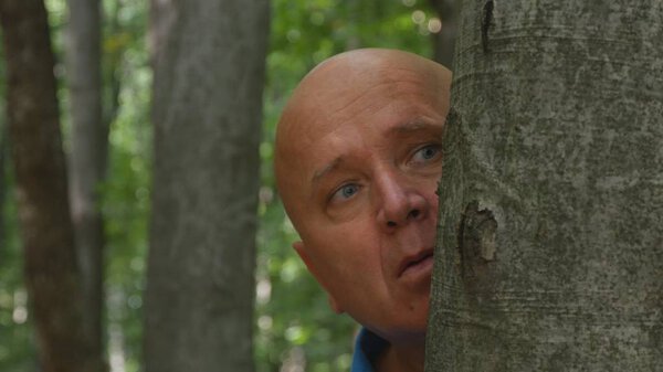 Испуганный человек прячется за деревом в лесу
