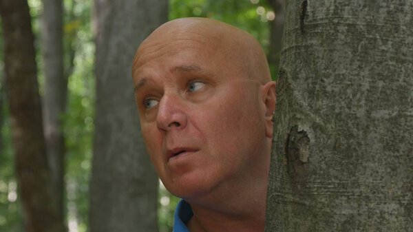 Испуганный человек прячется за деревом в лесу
