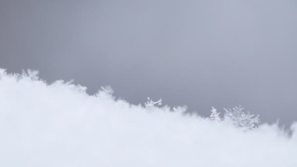 Imagem de close-up com cristais de flocos de neve brancos e congelados pequenos — Vídeo de Stock