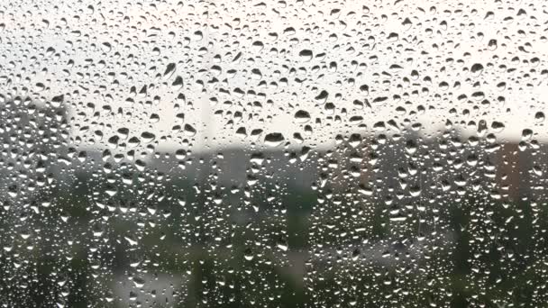 Close Image Water Drops Window Rainy Day — Stock Video