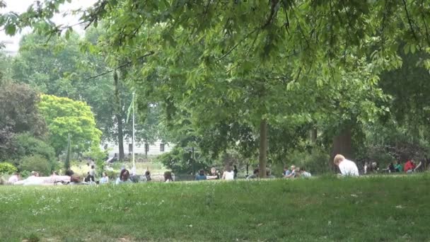 James Park Image People Relaxing Sitting Green Grass — стоковое видео