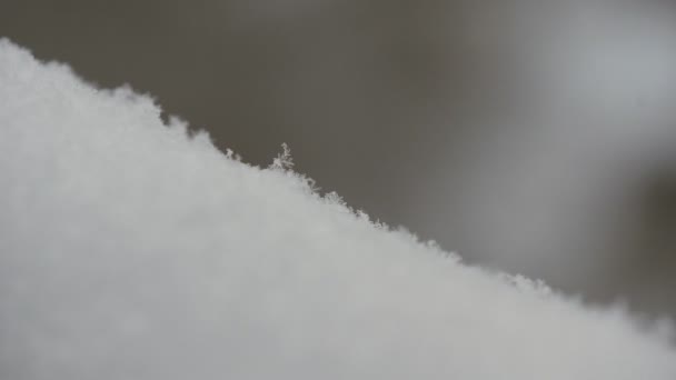 Close Beeld Met Wit Bevroren Sneeuw Kristallen Vallen Neer Uit — Stockvideo