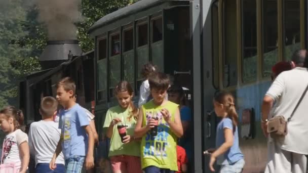 옛 증기 기관차와 휴가 여행을 준비 하는 기차역에서 관광객 — 비디오